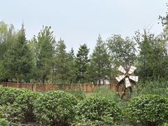-太阳宫公园