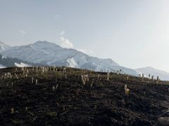 -新疆那拉提国家旅游度假区
