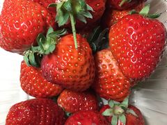 -北京大学-燕南食堂