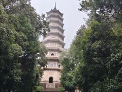 -灵谷景区