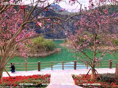 -铜锣山矿山公园