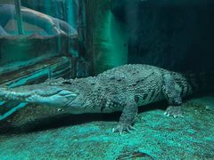 -青藏高原野生动物园