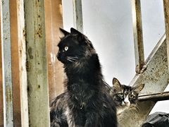 -陕西省游泳跳水馆