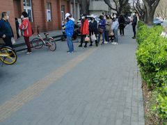 -中关村茶点