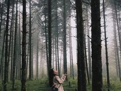 -石棉县孟获城