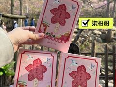 -青岛大珠山景区
