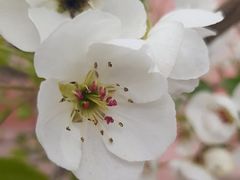 -维乐口腔医院(星海湾分院)