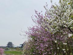 -海珠湖公园