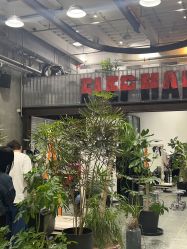 -大象造型