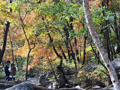 -玉渡山自然风景区