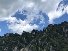 -王顺山国家森林公园