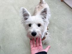 -小意思咖啡店(草桥店)