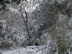 -紫金山天文台