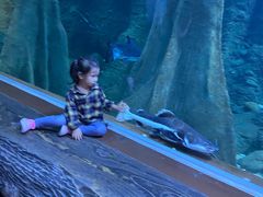 -成都浩海立方海洋公园