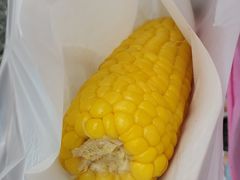 -富士山吉田線五合目