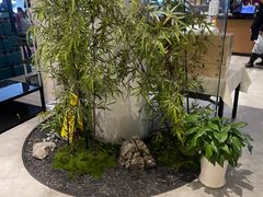 -绿杨春·淮扬宴(庐山路店)
