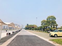 -碧海金沙