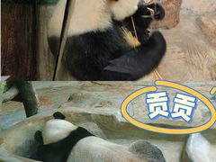 -海南热带野生动植物园