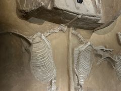 -洛阳周王城天子驾六博物馆