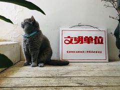-小时光咖啡馆(北锣鼓巷店)