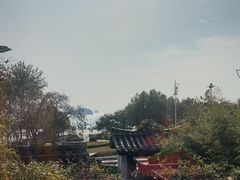 -慢丽江·云南野生菌土鸡锅(付家庄店)