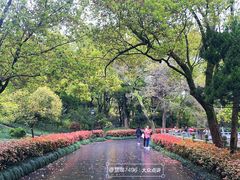 -阿育王寺