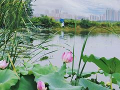 -盘龙城国家考古遗址公园