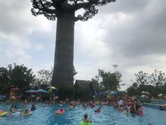 -苏州乐园森林水世界