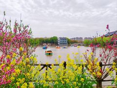 -南汇桃花村