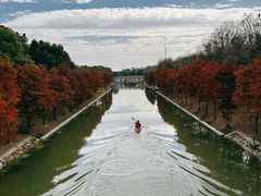 -上海海湾国家森林公园