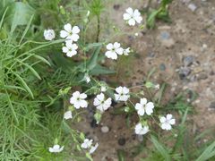 -云川台球(马甸店)