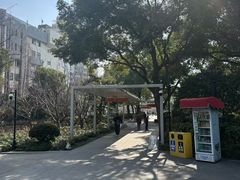 -兰溪青年公园