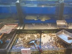 -添福来墨鱼饺子 · 海鲜东北菜(泡崖店)
