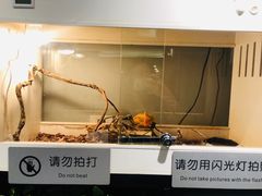 -打趸BTC·Breaktime cafe(北京路店)