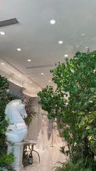 -MuseMarry婚纱(前海嘉里中心店)
