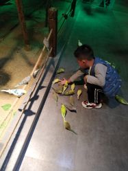 -酷嗒动物文化乐园(cutezoo西溪乐天城店)