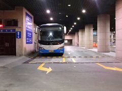 -上海机场-城市航站楼