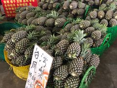 -海吉星市场