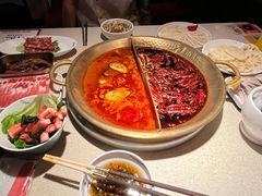 -小龙坎火锅(全球旗舰店)
