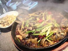 -老板恋上鱼(恒隆广场店)