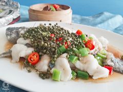 藤椒蒸鱼-海湾壹品·粤菜·早茶·烤鸭(拱北店)