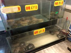 水产区-鳖皇甲鱼餐厅(平阳路店)