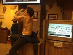 -信不信由你博物馆