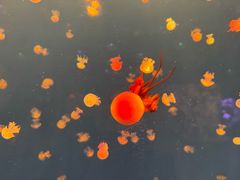 -多彩贵州城极地海洋世界