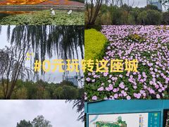 -中山公园