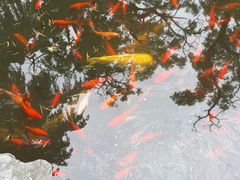 -南京市民俗博物馆(甘熙故居)