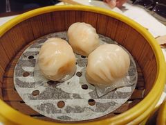 -火齐潮汕砂锅粥(五道口店)