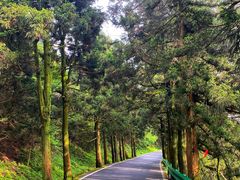 -南岳衡山风景名胜区