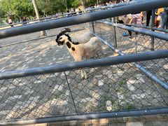 -长白岛森林公园