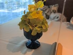 -金海华·赫本时光餐厅(现代传媒广场店)